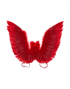 Claire's Feather Wings 95039