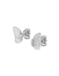 cercei Fossil Sterling Silver Butterflies stud JFS00621040