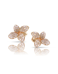 Pasquale Bruni Petit Garden 