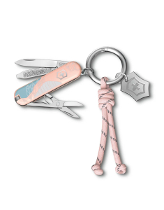 briceag Victorinox Swiss Army Knives Classic SD Paris Style 0.6223.E221