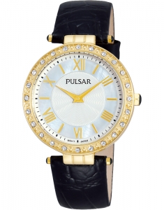Pulsar Business PM2108X1